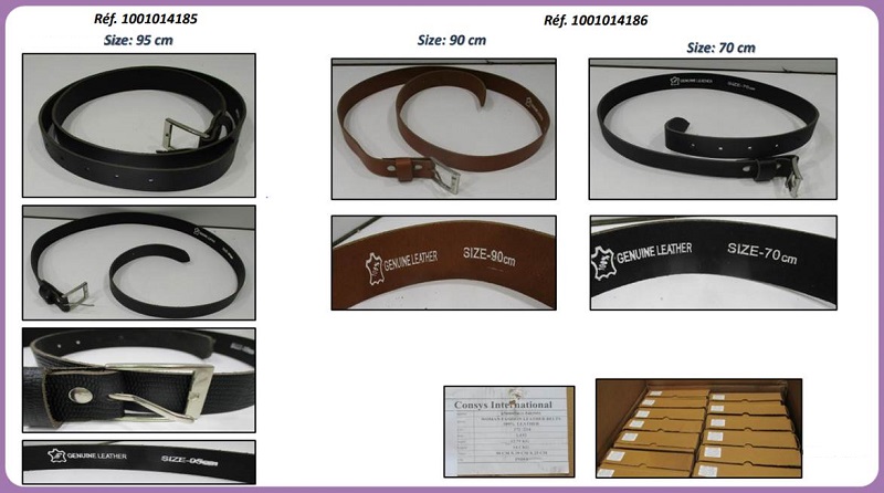 49256 - LEATHER BELTS Europe